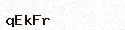 Visual Confirmation Security Code